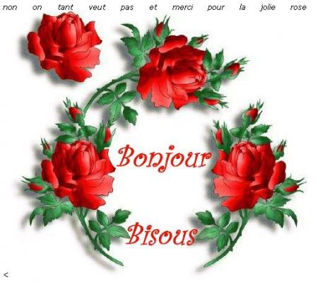 bonjour